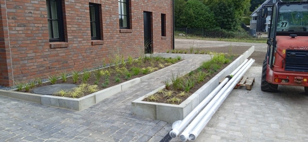 Bepflanzung von Neuanlagen